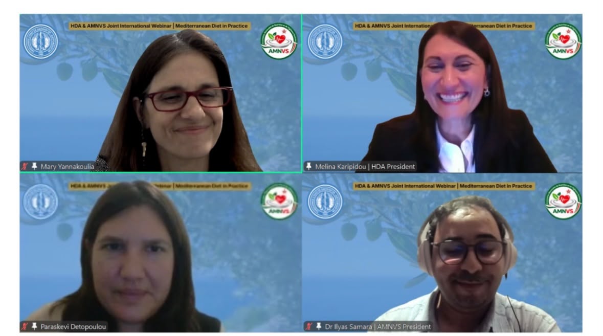 Les intervenants de l’AMNVS et de la HDA pendant le webinaire du 15 octobre 2026